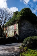 ivy covered cottage